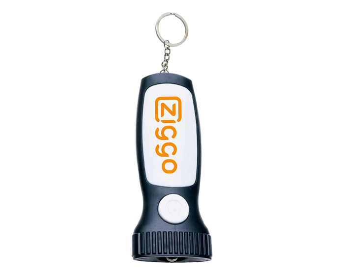 LLAVERO PLASTICO CON LINTERNA TORCH - (D-A2119)