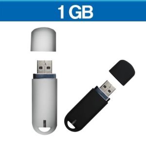 USB LUXURY CURVE 1GB (U-USB-003)