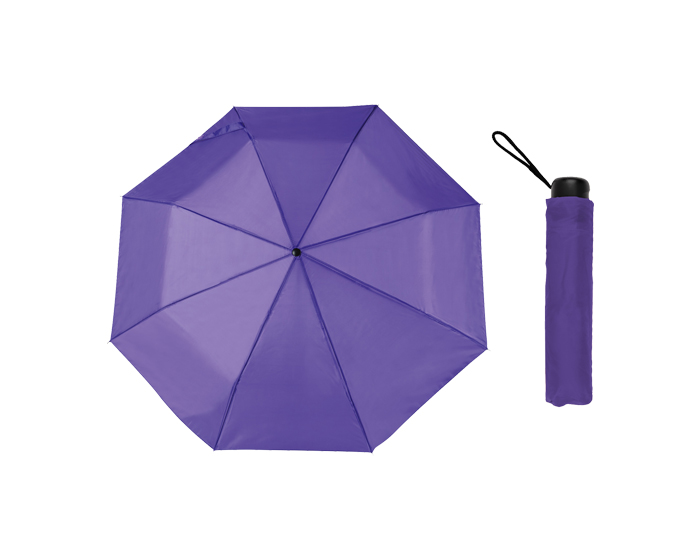 PG14_morado_lrg