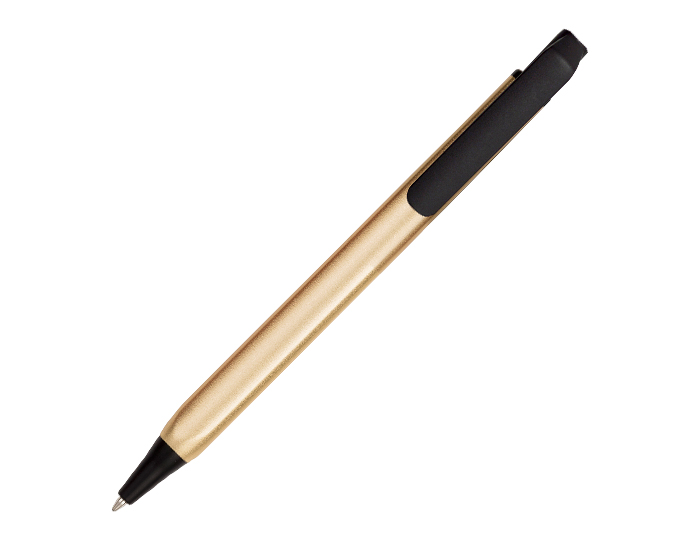 A2196_1.jpg
