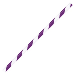 POPOTE BICOLOR FIZZ A2197 MORADO (Plástico)