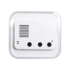 Mini Receptor de Audio Bluetooth Voice A2492 Blanco (Plástico abs)