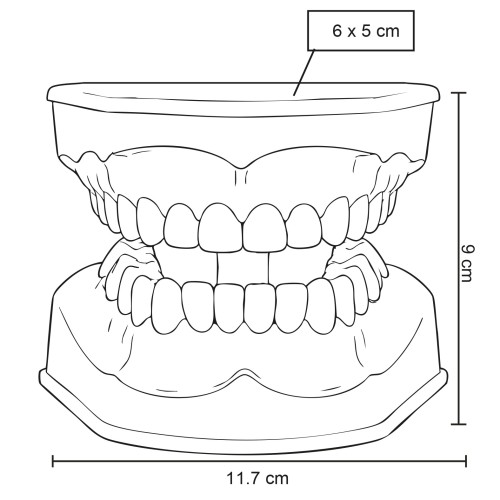 15052026141349_CP159esq Anatomico Odonto CP 159 BLANCO (CP159 – pvc – articulo promocional)