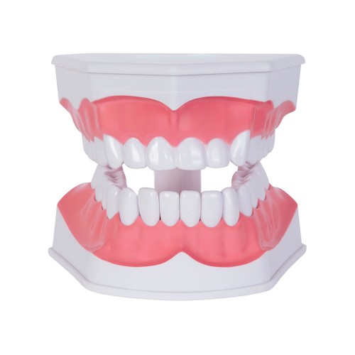 Anatomico Odonto CP 159 BLANCO (CP159 - pvc - articulo promocional)