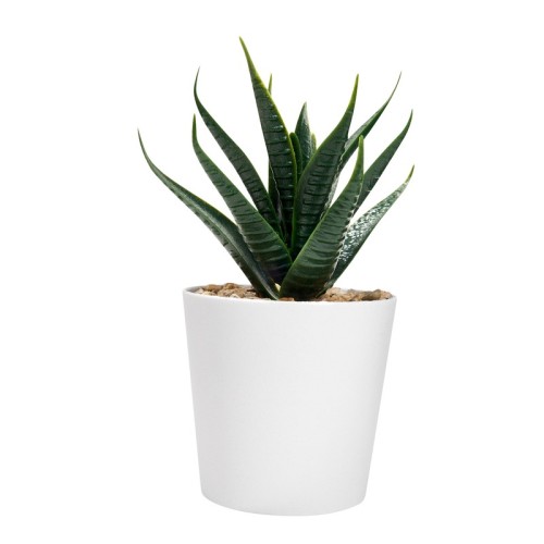KTC-750-B_4 Decoracion Set de Plantas Aliso Blanco KTC 750 B Blanco (KTC750B – plastico / carton – articulo promocional)