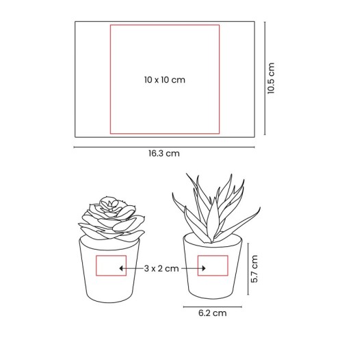 KTC-750-VECTOR Decoracion Set de Plantas Aliso Blanco KTC 750 B Blanco (KTC750B – plastico / carton – articulo promocional)