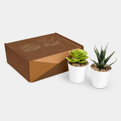 KTC-750 Decoracion Set de Plantas Aliso Blanco KTC 750 B Blanco (KTC750B – plastico / carton – articulo promocional)