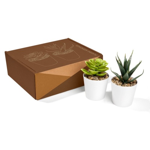 KTC-750_1 Decoracion Set de Plantas Aliso Blanco KTC 750 B Blanco (KTC750B – plastico / carton – articulo promocional)