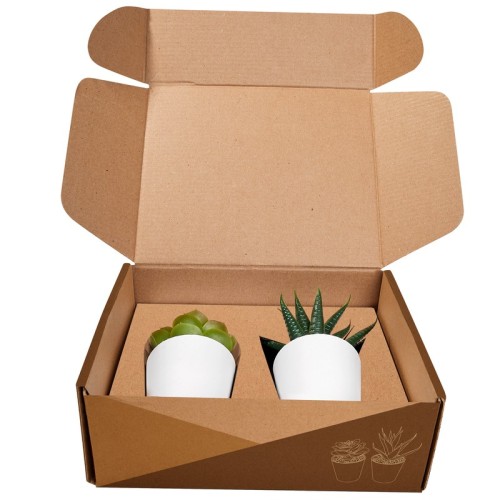 KTC-750_4 Decoracion Set de Plantas Aliso Blanco KTC 750 B Blanco (KTC750B – plastico / carton – articulo promocional)