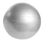 Articulo Deportivo Pelota de Pilates Wellness SPO 018 S Plata (SPO018S - pvc - articulo promocional)
