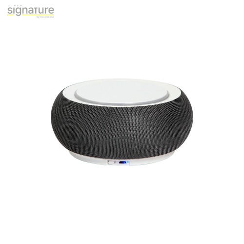 TH-141_01 Accesorio Tecnologia Bocina Migori. TH-141G Gris (TH141G – articulo promocional)
